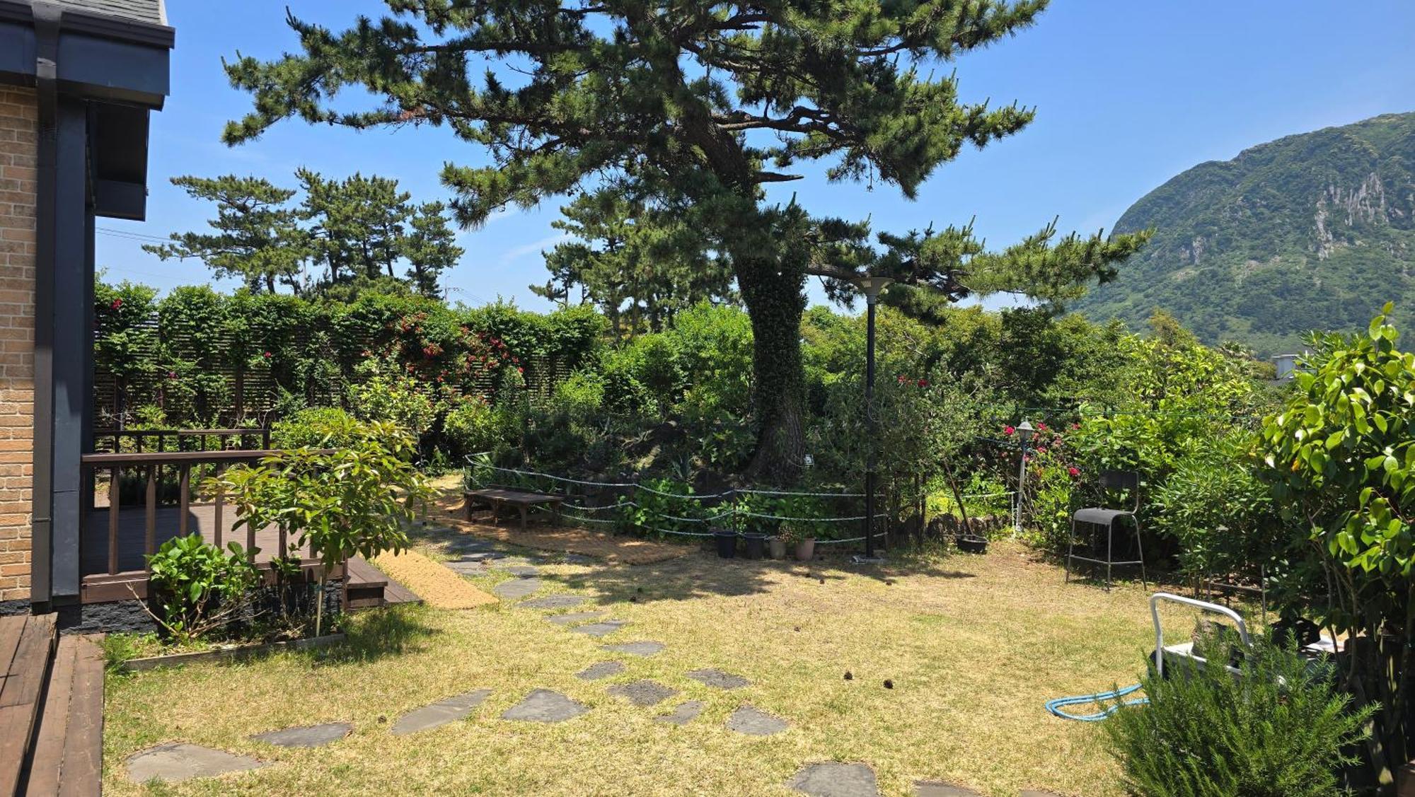 Wind Jeju Cafe & Pension Seogwipo Exterior foto