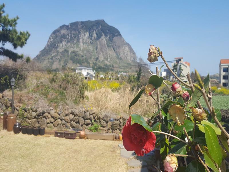 Wind Jeju Cafe & Pension Seogwipo Exterior foto